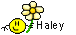 Haley Smiley – Namen mit Blume